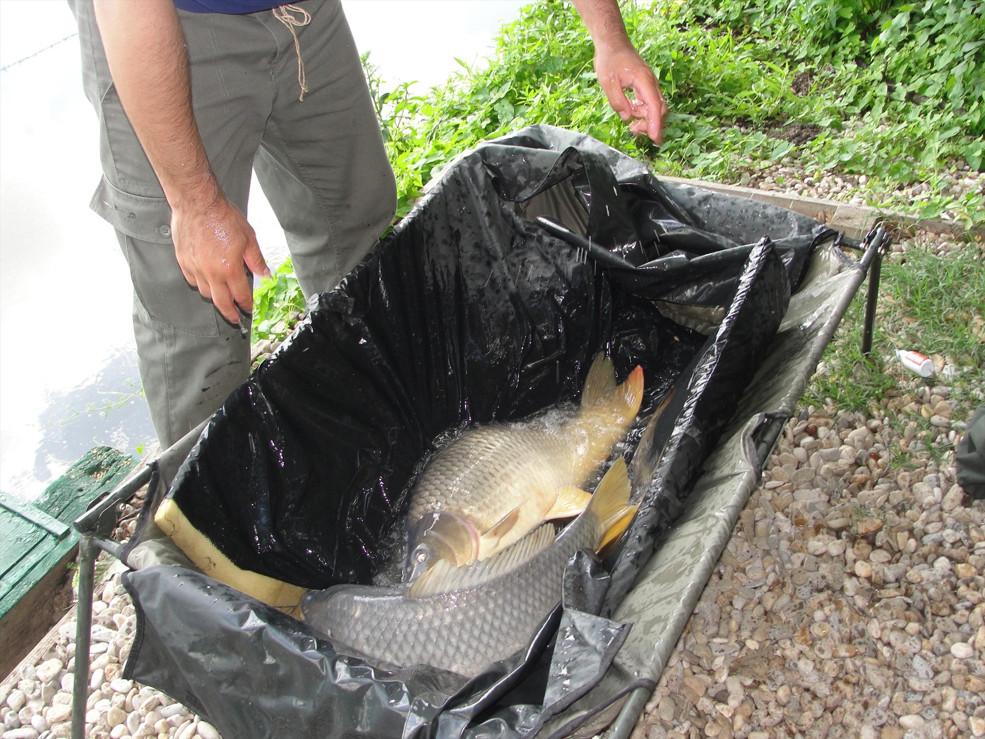 Moara Vlasiei 2 - 9 iunie partea a doua - doi frati